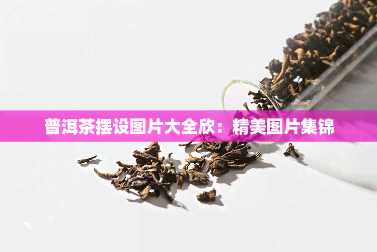 普洱茶摆设图片大全欣：精美图片集锦