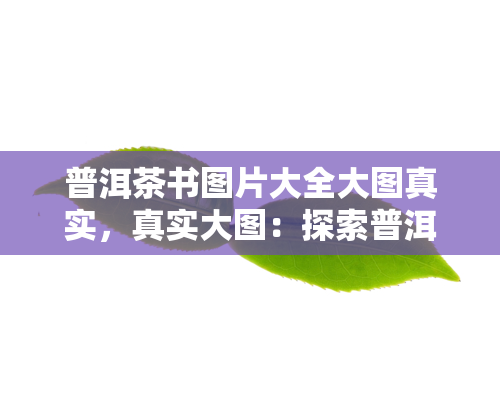 普洱茶书图片大全大图真实，真实大图：探索普洱茶的魅力，一书在手，全览图片大全！