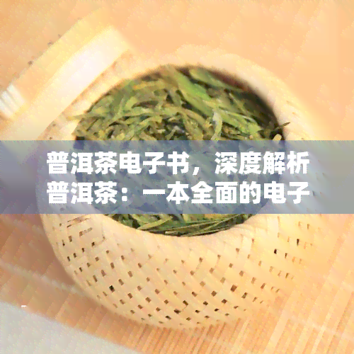 普洱茶电子书，深度解析普洱茶：一本全面的电子书