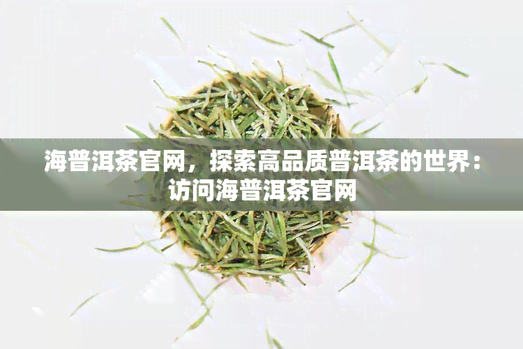 海普洱茶官网，探索高品质普洱茶的世界：访问海普洱茶官网