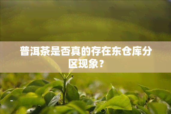 普洱茶是否真的存在东仓库分区现象？