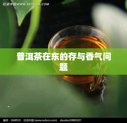 普洱茶在东的存与香气问题