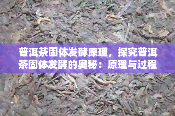 普洱茶固体发酵原理，探究普洱茶固体发酵的奥秘：原理与过程解析