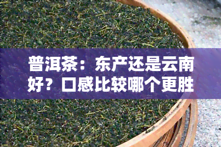 普洱茶：东产还是云南好？口感比较哪个更胜一筹？