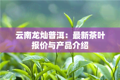 云南龙灿普洱：最新茶叶报价与产品介绍