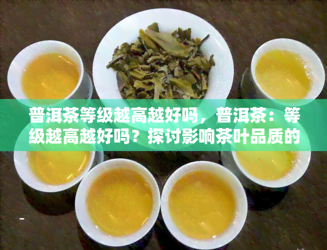 普洱茶等级越高越好吗，普洱茶：等级越高越好吗？探讨影响茶叶品质的因素