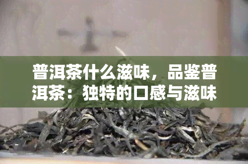 普洱茶什么滋味，品鉴普洱茶：独特的口感与滋味探索