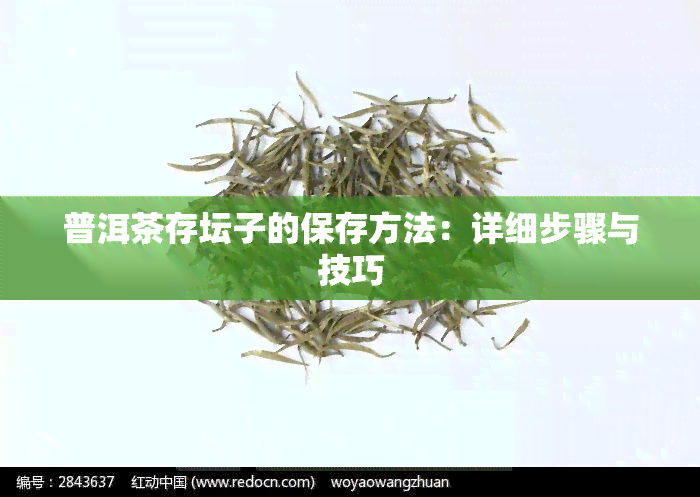 普洱茶存坛子的保存方法：详细步骤与技巧