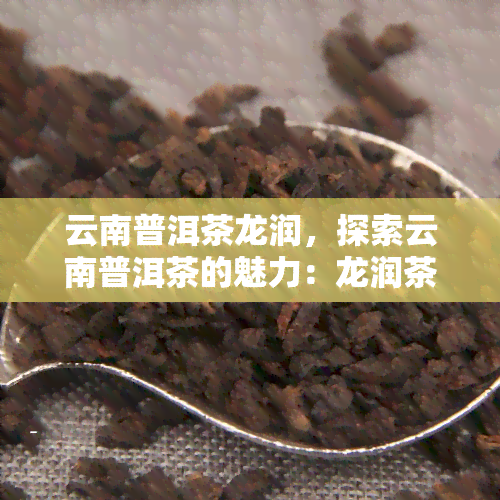 云南普洱茶龙润，探索云南普洱茶的魅力：龙润茶的传说与故事