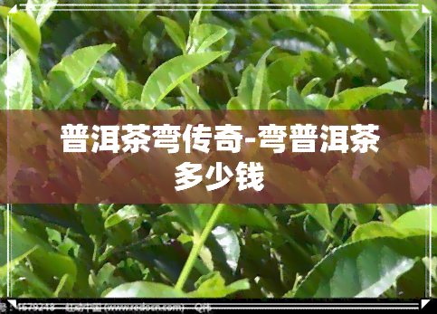 普洱茶弯传奇-弯普洱茶多少钱