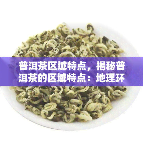 普洱茶区域特点，揭秘普洱茶的区域特点：地理环境、生产工艺与口感影响