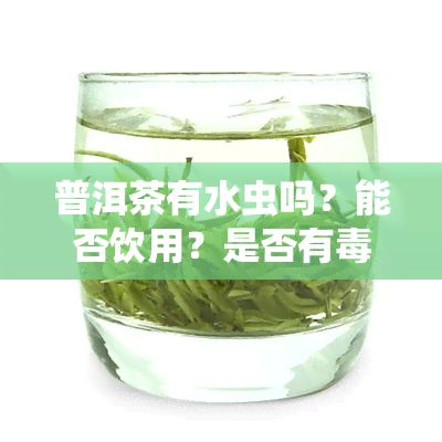 普洱茶有水虫吗？能否饮用？是否有？知乎上的解答