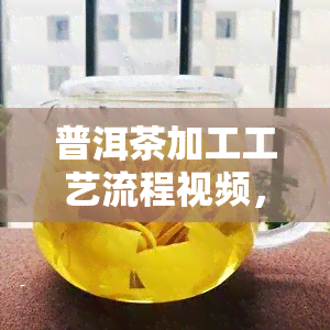 普洱茶加工工艺流程视频，揭秘普洱茶加工工艺：全程视频解析