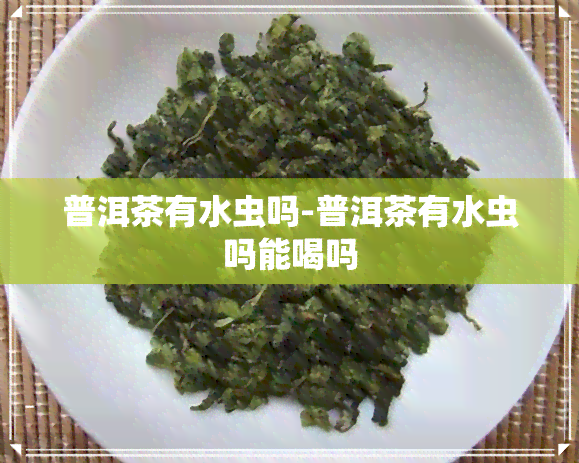 普洱茶有水虫吗-普洱茶有水虫吗能喝吗