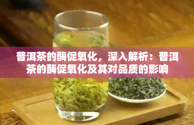 普洱茶的酶促氧化，深入解析：普洱茶的酶促氧化及其对品质的影响