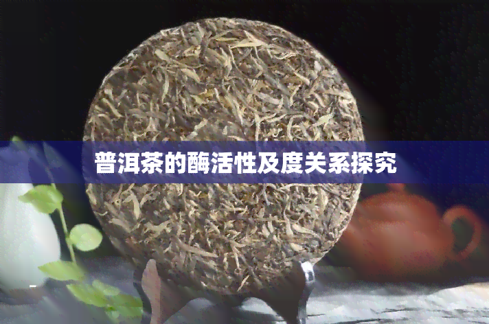 普洱茶的酶活性及度关系探究