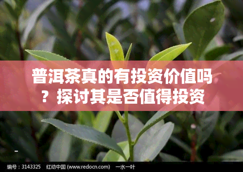 普洱茶真的有投资价值吗？探讨其是否值得投资