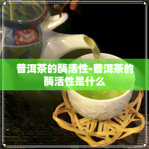 普洱茶的酶活性-普洱茶的酶活性是什么