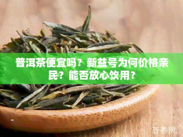 普洱茶便宜吗？新益号为何价格亲民？能否放心饮用？