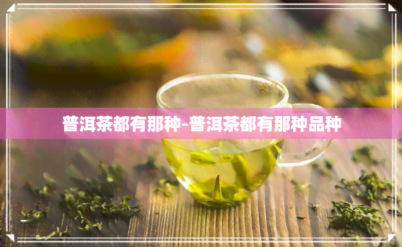 普洱茶都有那种-普洱茶都有那种品种