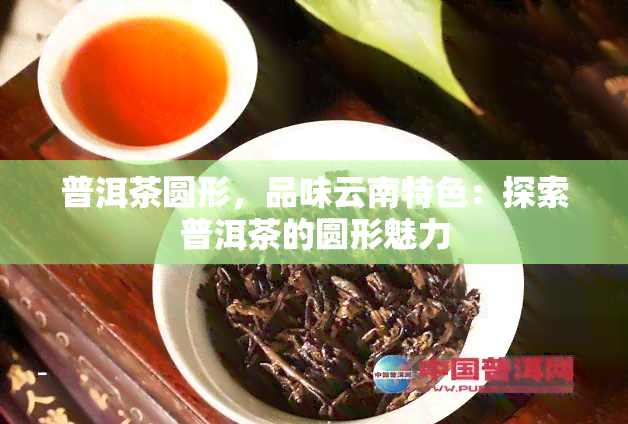 普洱茶圆形，品味云南特色：探索普洱茶的圆形魅力