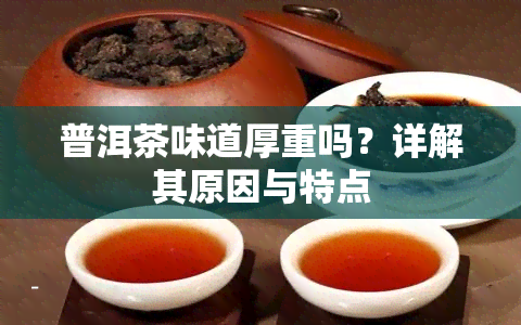 普洱茶味道厚重吗？详解其原因与特点