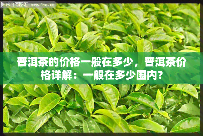 普洱茶的价格一般在多少，普洱茶价格详解：一般在多少围内？