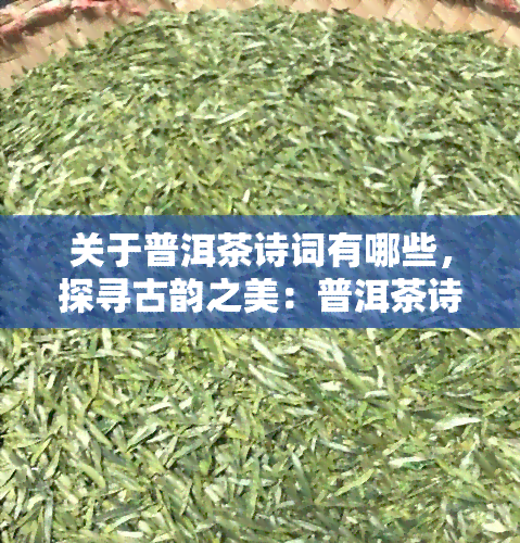 关于普洱茶诗词有哪些，探寻古韵之美：普洱茶诗词的魅力