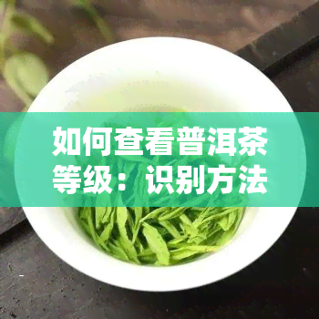 如何查看普洱茶等级：识别方法与价格查询指南