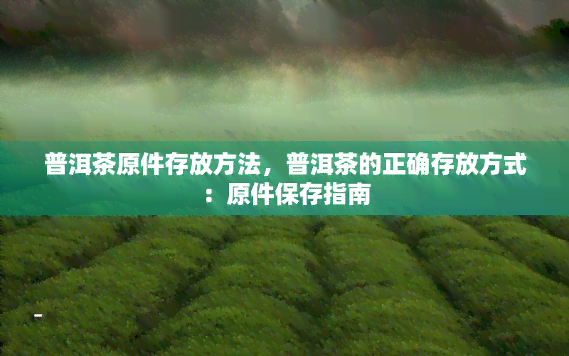 普洱茶原件存放方法，普洱茶的正确存放方式：原件保存指南