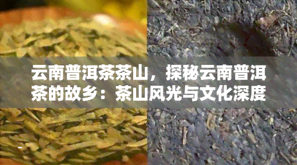 云南普洱茶茶山，探秘云南普洱茶的故乡：茶山风光与文化深度游