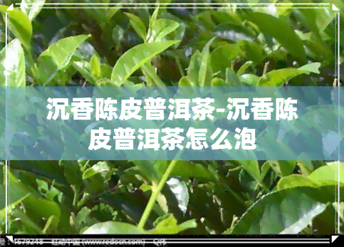 沉香陈皮普洱茶-沉香陈皮普洱茶怎么泡