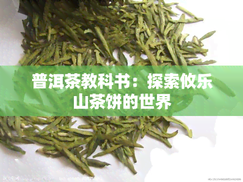 普洱茶教科书：探索攸乐山茶饼的世界