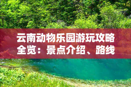 云南动物乐园游玩攻略全览：景点介绍、路线规划及实用贴士