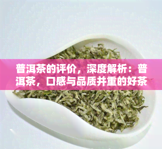 普洱茶的评价，深度解析：普洱茶，口感与品质并重的好茶！