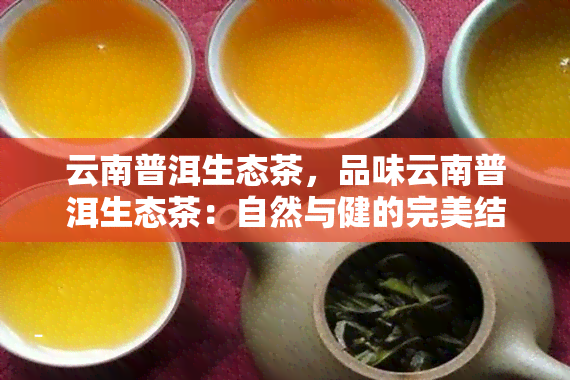 云南普洱生态茶，品味云南普洱生态茶：自然与健的完美结合