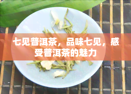 七见普洱茶，品味七见，感受普洱茶的魅力