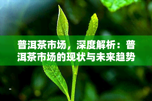 普洱茶市场，深度解析：普洱茶市场的现状与未来趋势