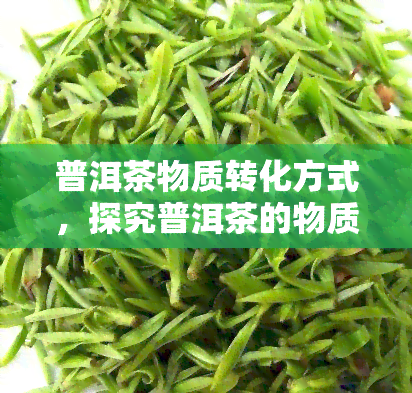 普洱茶物质转化方式，探究普洱茶的物质转化方式：从叶到陈年佳酿的过程