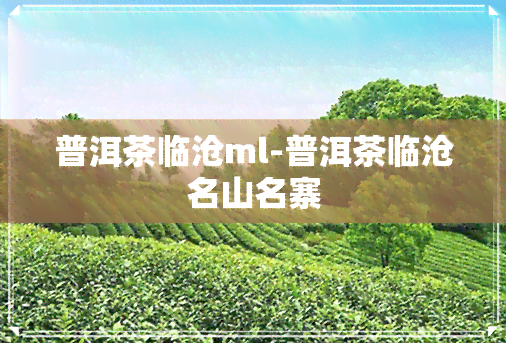 普洱茶临沧ml-普洱茶临沧名山名寨