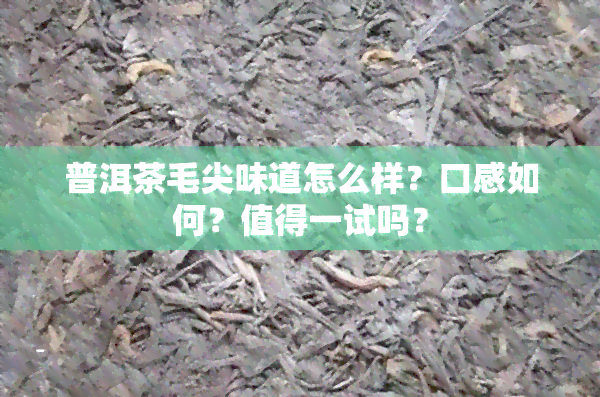 普洱茶毛尖味道怎么样？口感如何？值得一试吗？