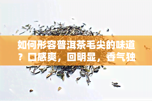 如何形容普洱茶毛尖的味道？口感爽，回明显，香气独特，让人回味无穷。