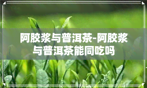 阿胶浆与普洱茶-阿胶浆与普洱茶能同吃吗