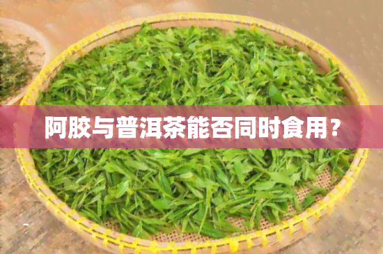 阿胶与普洱茶能否同时食用？