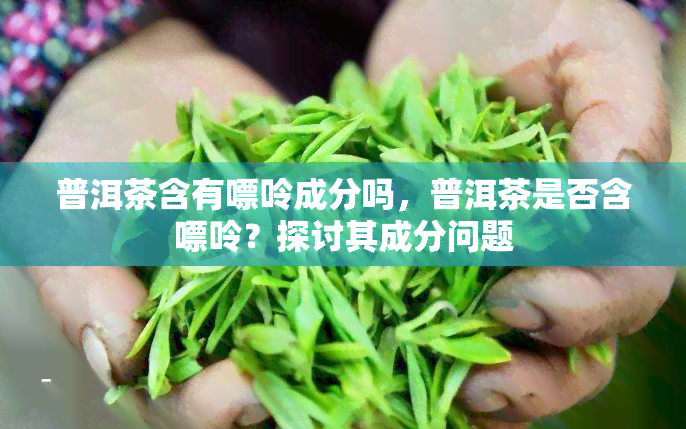 普洱茶含有嘌呤成分吗，普洱茶是否含嘌呤？探讨其成分问题