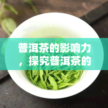 普洱茶的影响力，探究普洱茶的深远影响力：一探其历、文化与健价值