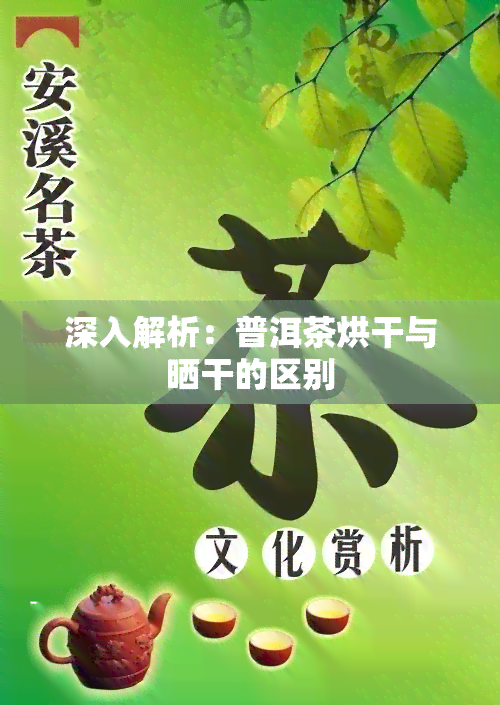 深入解析：普洱茶烘干与晒干的区别