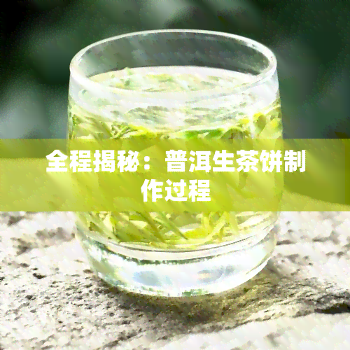 全程揭秘：普洱生茶饼制作过程