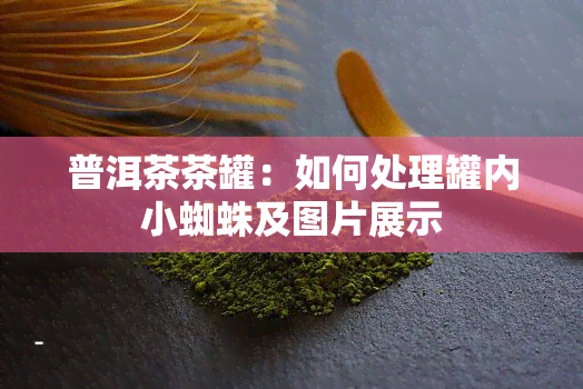 普洱茶茶罐：如何处理罐内小蜘蛛及图片展示