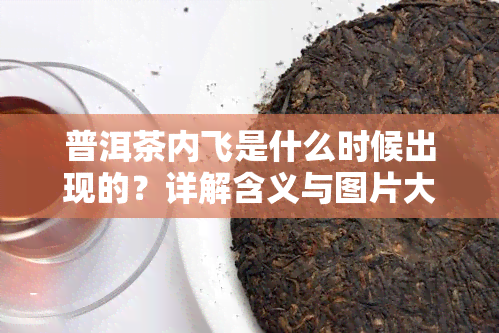 普洱茶内飞是什么时候出现的？详解含义与图片大全